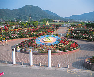 画像：よしうみバラ公園